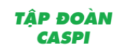 Logo-Caspi